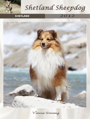 Des mille eclats des tournesol - Calendriers Shetland 2012 :nos shetland jouent les stars