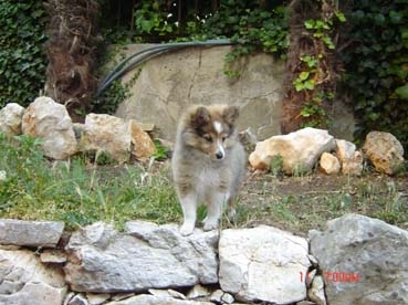 Betina blonde Des mille eclats des tournesol