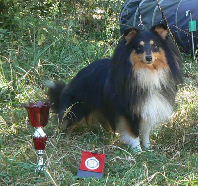 Ethann le conquérant Des mille eclats des tournesol