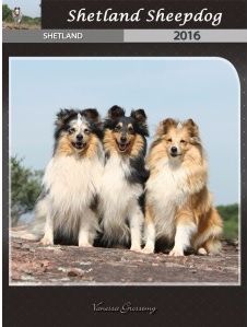 Des mille eclats des tournesol - Calendrier Shetland 2016